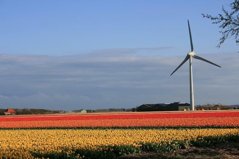 Vitamine Zee Petten Exterior foto